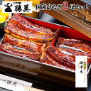 【ポイント5倍】お中元 うなぎ 国産 蒲焼き 170g-180g×2尾セット (タレ・山椒付) 土用の丑の日 夏ギフト ギフト プレゼント 送料無料 誕生日 贈り物 特大 特大うなぎ 勝美 鰻 ウナギ unagi 浜名湖 静岡 国産うなぎ 国産鰻 国産ウナギ うなぎ蒲焼き 蒲焼 鰻蒲焼