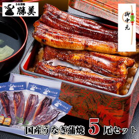 【本日限定10％OFFクーポン有】お中元 敬老の日 うなぎ 国産 蒲焼き 170g-180g×5尾セット (タレ・山椒付) ギフト プレゼント 浜名湖 送料無料 内祝 御祝 誕生日 特大 勝美 鰻 ウナギ unagi 国産うなぎ 国産ウナギ うなぎ蒲焼き 蒲焼 鰻蒲焼 ウナギ蒲焼 特大うなぎ