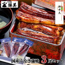【200円OFFクーポン有】お中元 うなぎ 国産 蒲焼 170g-180g×3尾セット (タレ・山椒付) 土用丑の日 送料無料 夏ギフト ギフト プレゼント 誕生日 贈り物 特大 勝美 ウナギ 鰻 unagi 国産うなぎ 国産ウナギ うなぎ蒲焼き うなぎの蒲焼 鰻蒲焼 ウナギ蒲焼 特大うなぎ 浜名湖