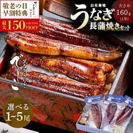【ポイント2倍】うなぎ お中元 国産 最高傑作 蒲焼 160-170g (タレ山椒付) 選べる 1尾 2尾 3尾 4尾 5尾 敬老の日 ギフト プレゼント 高級 贅沢 贈り物 誕生日 食べ物 ウナギ 鰻 unagi でしこ 浜名湖産 静岡 国産うなぎ 国内産 国産ウナギ 蒲焼き うなぎ蒲焼