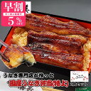 【母の日 早割 クーポン有】うなぎ 国産 蒲焼き 弁当【特上】2食セット (タレ山椒付) ギフト プレゼント 高級ギフト 贈り物 食べ物 誕生日 冷凍食品 うな重 お弁当 国産うなぎ 国産鰻 うなぎ蒲焼き うなぎの蒲焼 鰻蒲焼 うなぎ蒲焼 浜名湖 静岡 浜松 鰻 ウナギ unagi 無添加