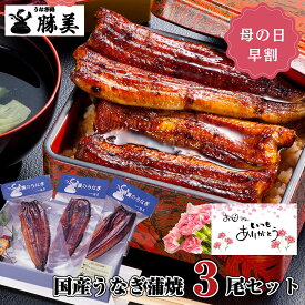 【母の日 早割 P10％還元】うなぎ 国産 蒲焼き 160g×3尾セット (タレ・山椒付) 父の日 プレゼント ギフト 父の日 誕生日 贈り物 食品 食べ物 お返し お祝 御礼 退職祝い 出産内祝 送料無料 勝美 鰻 ウナギ unagi 蒲焼 国内産 浜名湖 浜松 食品 食べ物 冷凍 真空パック