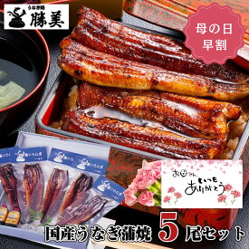 【母の日 早割 P10％還元】うなぎ 国産 蒲焼き 160g×5尾セット (タレ・山椒付) プレゼント 勝美 ギフト 誕生日 父の日 贈り物 食品 食べ物 お返し お祝 御礼 退職祝い 出産内祝 鰻 ウナギ unagi 国内産 浜名湖 浜松 蒲焼 ひつまぶし グルメ 真空パック 冷凍 送料無料