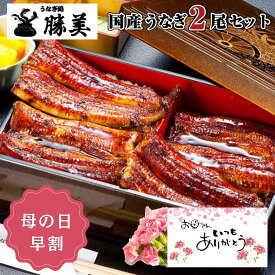 【母の日 早割 P10％還元】うなぎ 国産 蒲焼き 160g×2尾セット (タレ・山椒付) 父の日 プレゼント ギフト 誕生日 贈り物 食品 食べ物 お返し お祝 御礼 退職祝い 出産内祝 勝美 鰻 ウナギ unagi 蒲焼 国内産 浜名湖 浜松 真空パック 送料無料