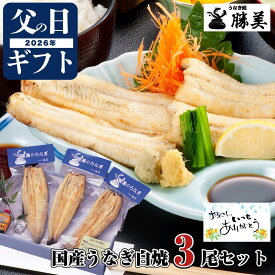 うなぎ 父の日 ギフト 国産 白焼 170～180g×3尾セット (タレ・山椒付) 勝美 プレゼント 高級ギフト 贅沢ギフト 贈り物 誕生日 送料無料 食品 食べ物 お返し 御礼 御祝 出産内祝 国内産 浜名湖 浜松 鰻 unagi うなぎ白焼き うなぎ白焼 特大 冷凍食品