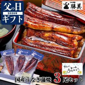 【ポイント2倍】うなぎ 父の日 ギフト うなぎ 国産 蒲焼 170g-180g×3尾セット (タレ・山椒付) 母の日 プレゼント 高級ギフト 贅沢 贈り物 食べ物 誕生日 贈り物 特大 勝美 ウナギ 鰻 unagi 国産うなぎ 国産ウナギ うなぎ蒲焼き 蒲焼き 鰻蒲焼 ウナギ蒲焼 タレ無添加 個包装