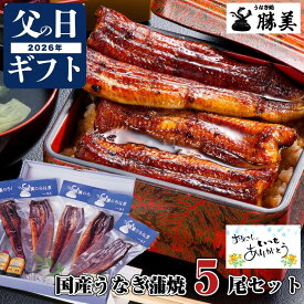 うなぎ 父の日 ギフト 国産 蒲焼き 170g-180g×5尾セット (タレ・山椒付) 母の日 プレゼント 高級ギフト 贅沢ギフト 贈り物 浜名湖 送料無料 内祝 御祝 誕生日 特大 勝美 鰻 ウナギ unagi 国産うなぎ 国産ウナギ うなぎ蒲焼き 蒲焼 鰻蒲焼 ウナギ蒲焼 個包装 定期購入