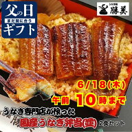 父の日 まだ間に合う！うなぎ ギフト 国産 蒲焼き 弁当 2食セット【並】 (タレ山椒付) プレゼント 高級 …
