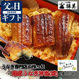 うなぎ 父の日 ギフト 国産 蒲焼き 弁当 2食セット【並】 (タレ山椒付) プレゼント 高級ギフト 贅沢ギフト 贈り物 誕生日 冷凍食品 うな重 お弁当 国産うなぎ 国産鰻 うなぎ蒲焼き うなぎの蒲焼 うなぎ蒲焼 静岡 浜名湖 浜松 鰻 ウナギ unagi 無添加 定期購入