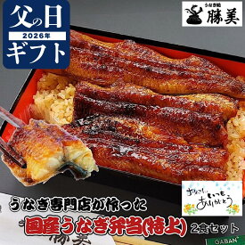 うなぎ 父の日 ギフト 国産 蒲焼き 弁当【特上】2食セット (タレ山椒付) プレゼント 高級ギフト 贅沢ギフト 無添加 贈り物 食べ物 誕生日 冷凍食品 うな重 お弁当 国産うなぎ 国産鰻 うなぎ蒲焼き うなぎの蒲焼 鰻蒲焼 浜名湖 静岡 浜松 鰻 ウナギ unagi 定期購入