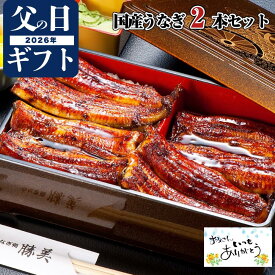 【ポイント2倍】うなぎ 父の日 ギフト 国産 蒲焼き 170g-180g×2尾セット (タレ・山椒付) 母の日 プレゼント 高級ギフト 贅沢 贈り物 食べ物 浜名湖 送料無料 誕生日 内祝 御祝 誕生日 特大 勝美 鰻 ウナギ unagi 国産うなぎ 国産ウナギ うなぎ蒲焼き 蒲焼 鰻蒲焼 定期購入