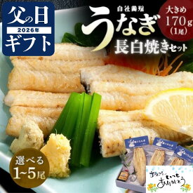 うなぎ 父の日 ギフト 国産 白焼 170～180g セット (タレ山椒付) 選べる 1尾 2尾 3尾 4尾 5尾 プレゼント 食べ物 高級ギフト 贅沢ギフト 贈り物 誕生日 内祝 国内産 浜名湖 浜松 静岡 白焼き うなぎ白焼 ウナギ 鰻 国産うなぎ 国産鰻 unagi 特大 冷凍食品 無添加