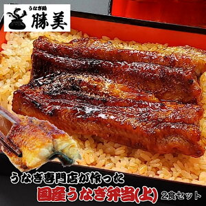 うなぎ 国産 蒲焼き弁当【上】2食セット (タレ山椒付) 無添加 送料無料 ギフト プレゼント 化粧箱入り 高級 贅沢 長寿祝 感謝 贈り物 誕生日 駅弁 冷凍弁当 浜名湖 国産うなぎ 国産鰻 うなぎ