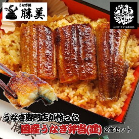 【母の日 まだ間に合う】うなぎ 国産 蒲焼き弁当 2食セット【並】 (タレ山椒付) プレゼント ギフト 誕生日 父の日 贈り物 お返し 御祝 御礼 出産内祝 駅弁 レンジ 温めるだけ 冷凍弁当 蒲焼 浜名湖 浜松 鰻 ウナギ unagi カット 2人前 食べ物 送料無料