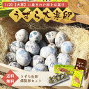 【送料無料】縁起物 うずらの大寒卵 BOX うずらの卵 40個+ うずらの燻製玉子 5個入5袋 大寒卵 予約 家庭用 新鮮 濃厚 …