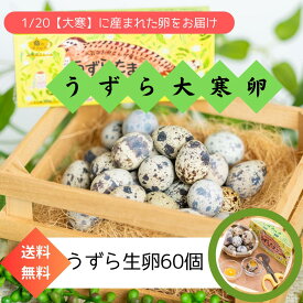 【送料無料】縁起物 うずらの大寒卵 60個予約 家庭用 新鮮 濃厚 こだわり 産地直送 トッピング おつまみ 桜のチップ おかず 静岡県産 浜名湖ファーム 金運UP 健康 受験祈願 安産祈願 大会 大寒卵