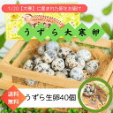 【送料無料】縁起物 うずらの大寒卵 40個予約 家庭用 新鮮 濃厚 こだわり 産地直送 トッピング おつまみ 桜のチップ …