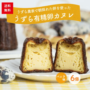 yz傫ȗLJk6sⓀt@oj XC[c@mَq@Mtg@v[g@蕨@yY@p@ÉY