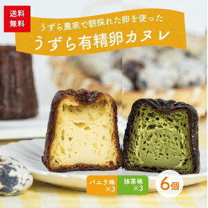 yz傫ȂLJk2Zbg@ye3z@oj@@XC[c@mَq Mtg@v[g@蕨@yY@p@ÉY