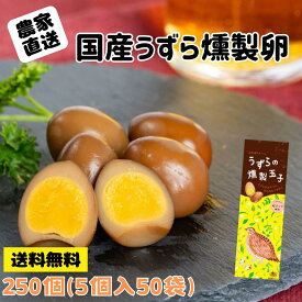 送料無料 うずらの燻製玉子 5個入り50袋 国産 浜名湖ファーム 桜のチップ おつまみ おやつ ギフト 業務用 お手軽サイズ 携帯食品