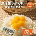 静岡県　浜名湖ファーム　濃厚うずらの生卵 卵かけご飯に！120個 家庭用 新鮮 濃厚 こだわり 産地直送　トッピング
