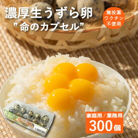 静岡県産 浜名湖ファーム うずらの生卵 300個 家庭用 業務用 新鮮 濃厚 こだわり 産地直送　トッピング