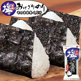 浜乙女 海苔 国産 塩付おにぎりのり 3切14枚 (10個セット) のり 巻くだけ 165500 遠足 運動会 ピクニック お弁当 紅葉 塩付