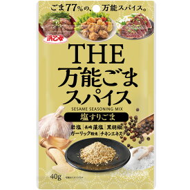 ポイント利用 万能 手軽 簡単 かけるだけ 万能ごまスパイス 塩すりごま40g(1袋) メール便 ギフト 3個以上で送料無料