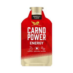 yzJmp[ENERGYi1j RAMUNE GINGER ALE Caffeine{ l WW[ Jmp[ JmV X|[cTv C~_][Wyv`h GlM[WF ⋋H  }\ 