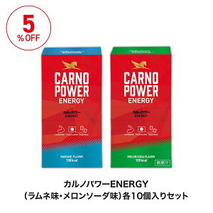 yz Jmp[ ENERGY2Zbgi10×2j GINGER ALE FlavorCaffeine{RAMUNE Flavor l WW[ JmV X|[cTv C~_][Wyv`h GlM[WF