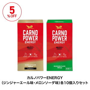 yz Jmp[ ENERGY2Zbgi10×2j GINGER ALE FlavorCaffeine{RAMUNE Flavor l WW[ JmV X|[cTv C~_][Wyv`h GlM[WF