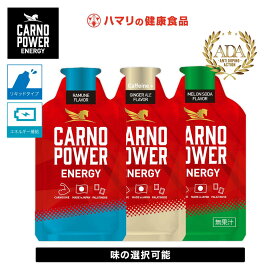 【公式】カルノパワーENERGY（1個） RAMUNE GINGER ALE ＜Caffeine＋＞ ラムネ ジンジャー カルノパワー カルノシン スポーツサプリ イミダゾールジペプチド エネルギージェル 補給食 ラン マラソン パラチノース カフェイン リカバリー 長距離 トレーニング 個包装 ジェル