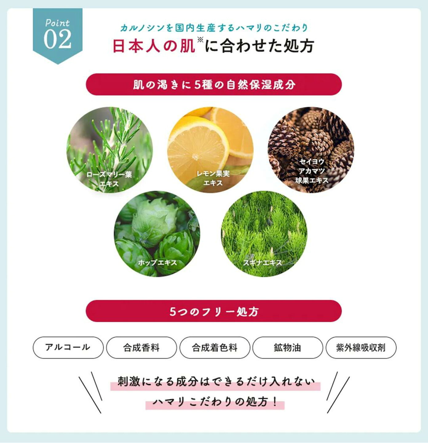 楽天市場 | ハマリの健康食品 - カルノシン配合のオールインワン肌ケア 