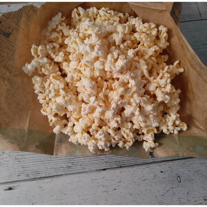 WŏoĖ{ihI |bvR[ [r[VA^[o^[ 4܃Zbg J[Nh [֑ |Cg 500