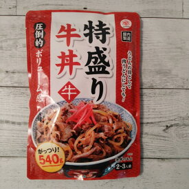 特盛牛丼 がっつり！540g メール便送料無料 ポイント消化 1000 牛丼の素