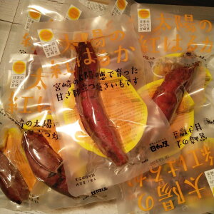  z̍g͂邩 Ă 10Zbg 