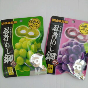 UHAo EҎ_CGbg E҂߂| }XJbgEO[v 45g×e1 [֑ |Cg 500