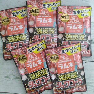 Xi WƂɁI 嗱l Y_ VR[ 25g×5 [֑ |Cg 1000