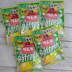 Xi WƂɁI 嗱l Refrech ς 30g×5 [֑ |Cg 1000