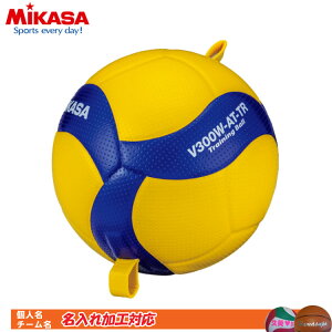 ������Ή�!�@�~�J�T�@�o���[�{�[���@�g���[�j���O�{�[��5���Ђ��t�@V300W-AT-TR