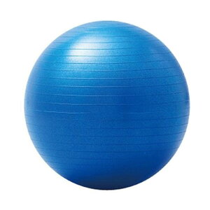 バランスボール 大きいの人気商品 通販 価格比較 価格 Com