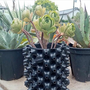 [gvX|bg3L@3Zbg@A@@\^@Aؔ@Jǂ@C@GS-AP150M