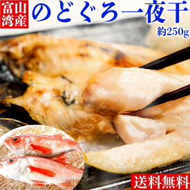 【浜浦水産 特製！】 干物 のどぐろ 約 250g 送料無料 父の日 お中元 ギフト 晩酌 お歳暮 御歳暮 帰歳暮 お取り寄せグルメ お取り寄せ 高級 ギフト 贈り物　一夜干し 干物セット セット ひもの 父 母 ギフト プレゼント 内祝い お返し 誕生日 楽天 高級 グルメ 富山湾産