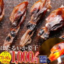 1000円ポッキリ 送料無料 ほたるいか 姿干 素干し 100g グルメ食品 ホタルイカ 干物 訳あり 大人気! お土産 日本海産 天日干し ホタルイカ通販 日...