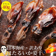 【 浜浦水産】ほたるいか姿干 40g ホタルイカ素干 【 姿干 】 訳あり ほたるいか 素干し お取り寄せ グル…
