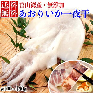 Y VR AICJ 銱 (1j110g 񂹃O  O 蕨 Ε@ hV̓ hV  Mtg CJ  ӎ ӌ Ǝ