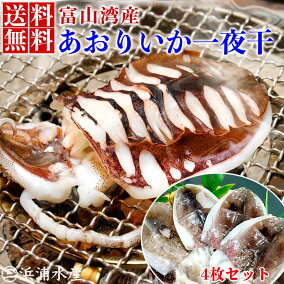 楽天市場 イカ 人気ランキング1位 売れ筋商品