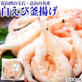 送料無料　富山湾の宝石・富山の名産　白えび釜揚げ 500g　白えび　シロエビ　白海老　釜揚げ　大人気！　富山 お土産　敬老の日 お中元　御中元　富山湾　シロエビ通販 内祝い お返し お歳暮 敬老 御歳暮　令和