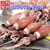 【ついに販売開始！】富山湾産 ほたるいか 釜揚げ (目取) 250g×3 酢みそ20g×6 蛍烏賊 ボイル 旬 3月中…