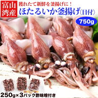 【ついに販売開始！】富山湾産 ほたるいか 釜揚げ (目付き) 250g×3 酢みそ20g×6 蛍烏賊 ボイル 春 お取…